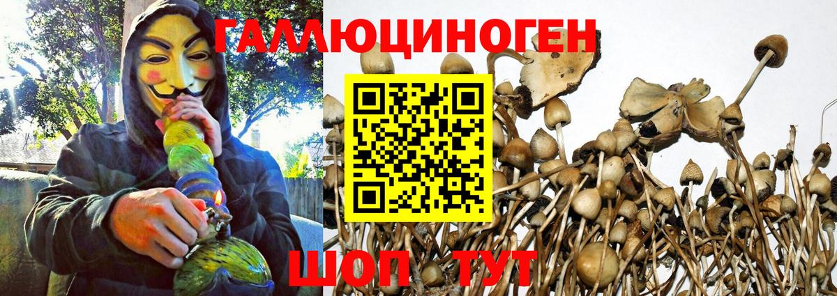даркнет сайт  Галлюциногенные грибы GOLDEN TEACHER  Вход с VPN  Санкт-Петербург 